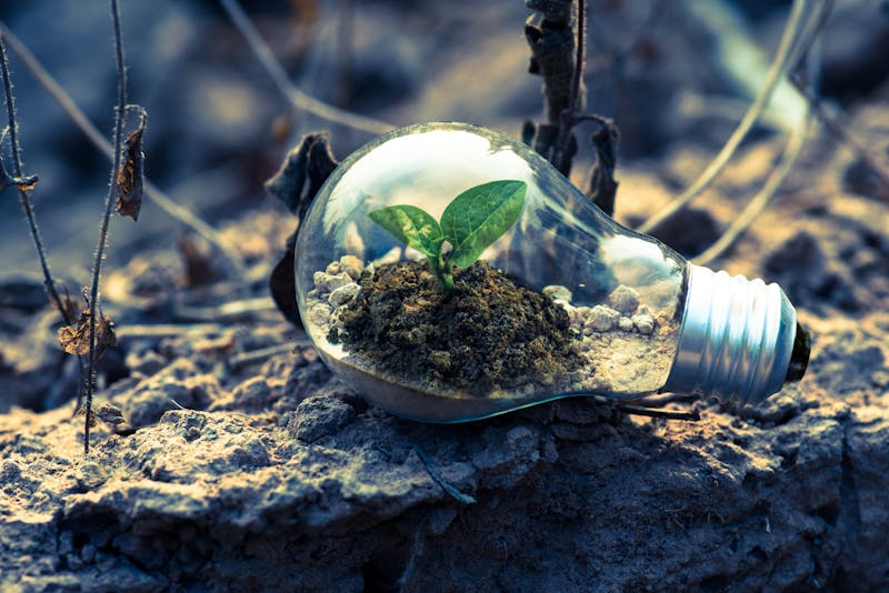 Corporate responsibility